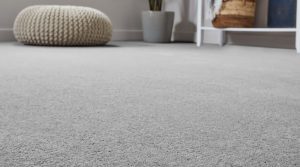 Discover the Versatility of Vinyl Carpets: Transform Your Space with Ease