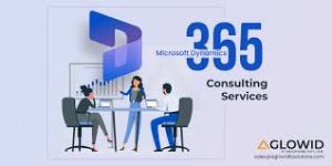 Successful Project Outcomes with Dynamics 365 Consulting Services