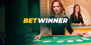 Discover the Thrills of Betwinner Casino